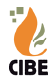 CIBE : Comité interprofessionnel bois énergie